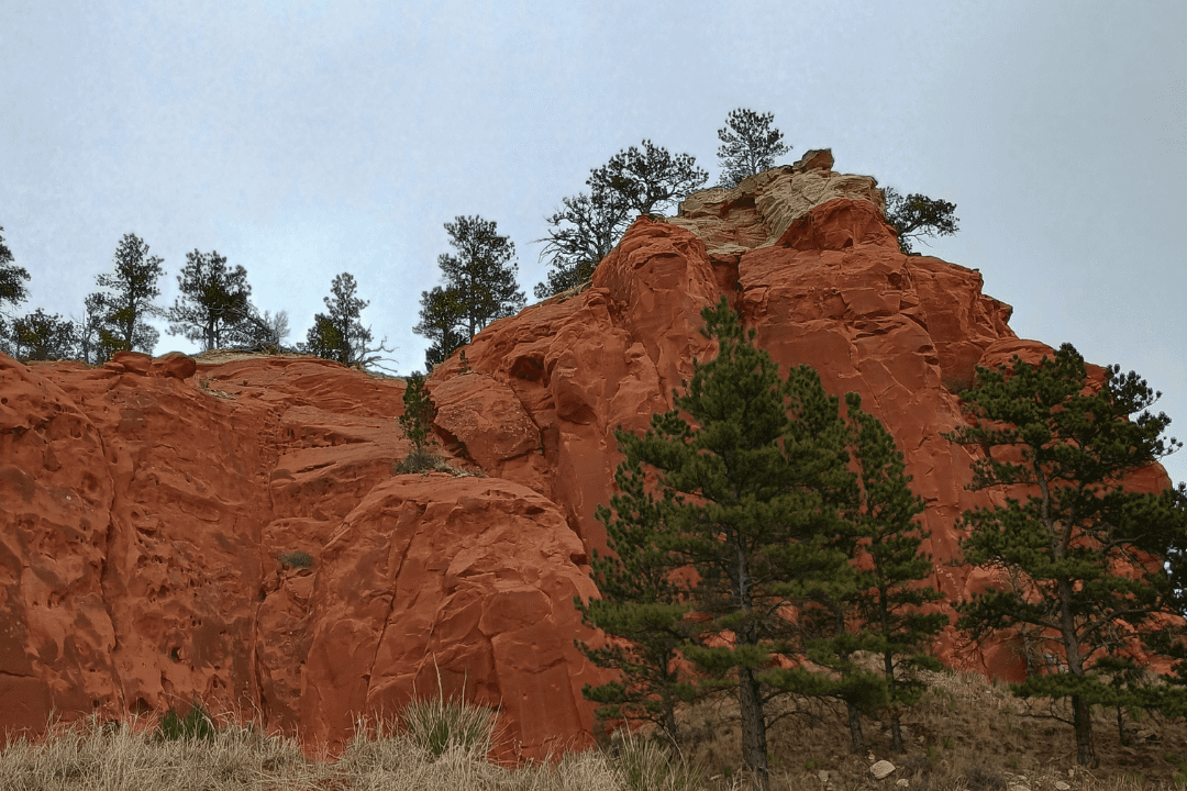 The walls of Craven Canyon, in the southern Black Hills of South Dakota, are marked with ancient Native American petroglyphs. A proposal to drill exploratory holes in search of uranium near the canyon has sparked controversy.
