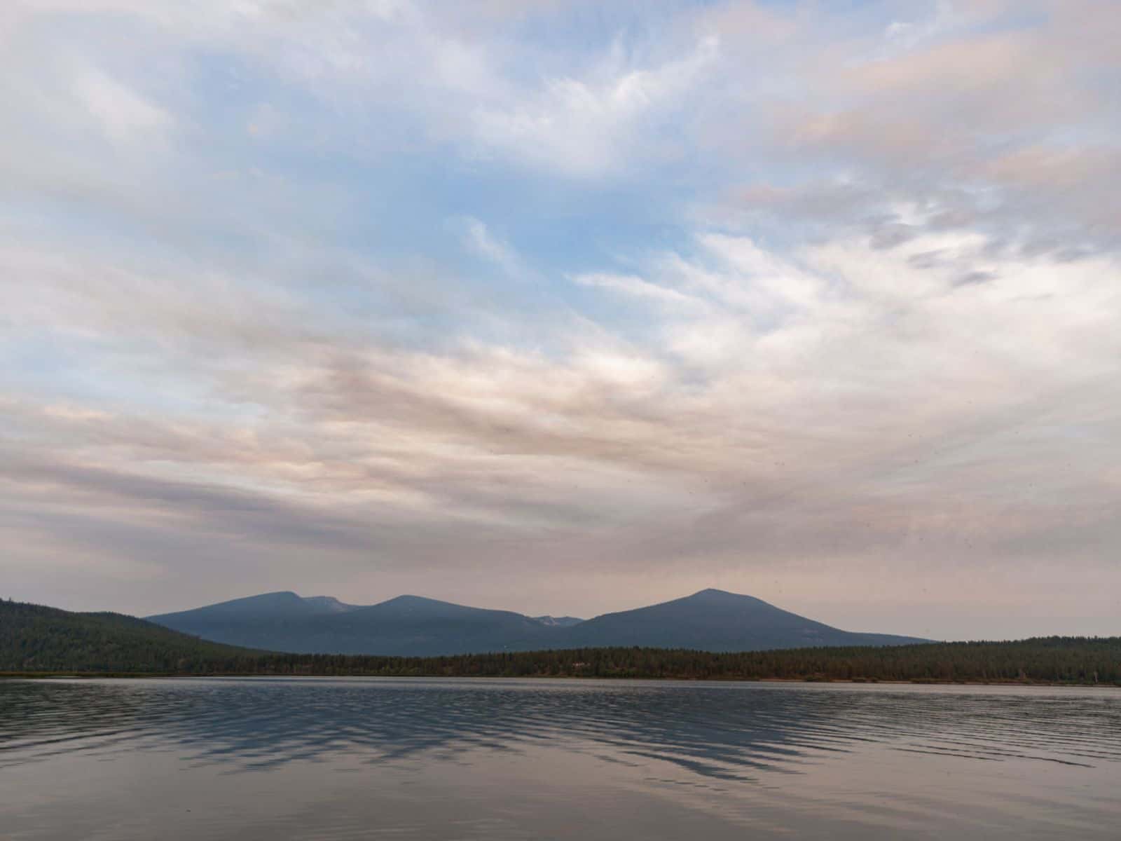 5f3f18629fc5a.image_