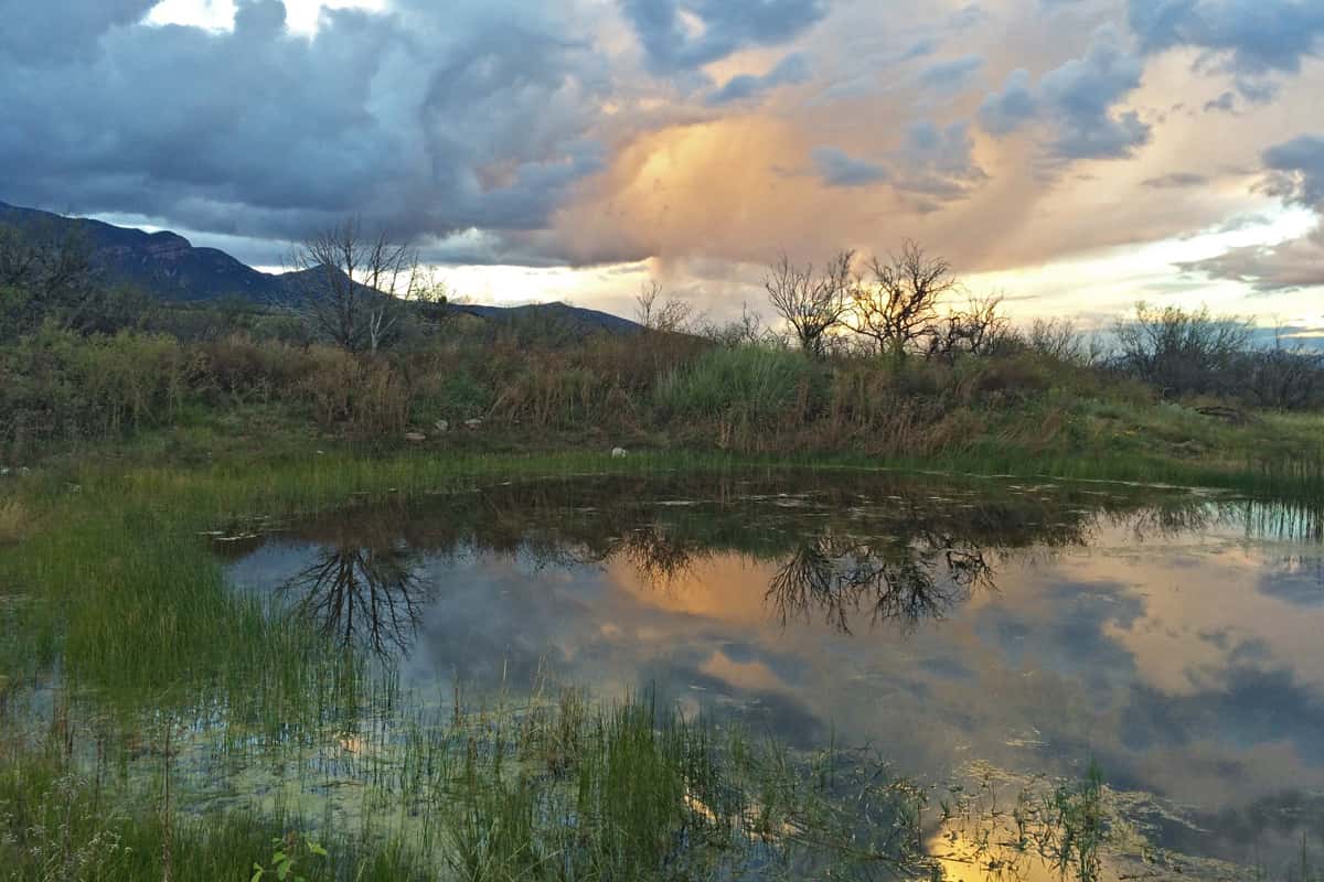 The sun sets over a pond constructed by Sky Alliance at Camp Rucker, Arizona. Courtsey of Sky Island Alliance.
