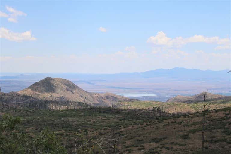 A former conifer forest in New Mexico's Jemez Mountains, with the Rio Grande's Cochiti Resevoir in the background.
Laura Paskus