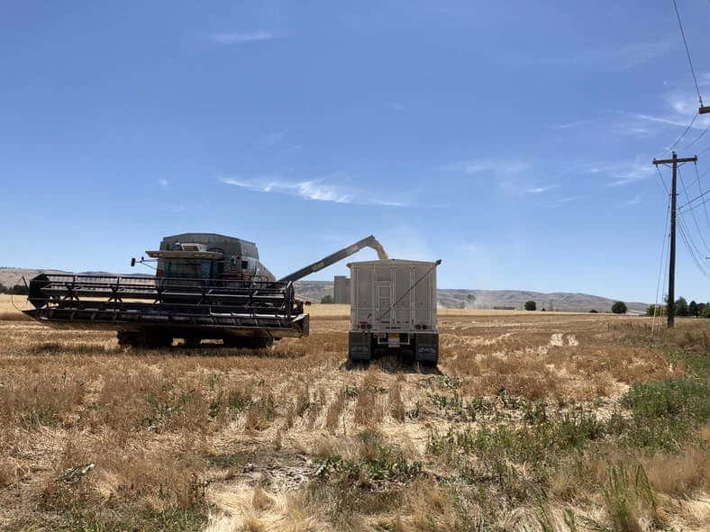 The Confederated Tribes of the Umatilla Indian Reservation has purchased farmland as part of their comprehensive land reclamation strategy.