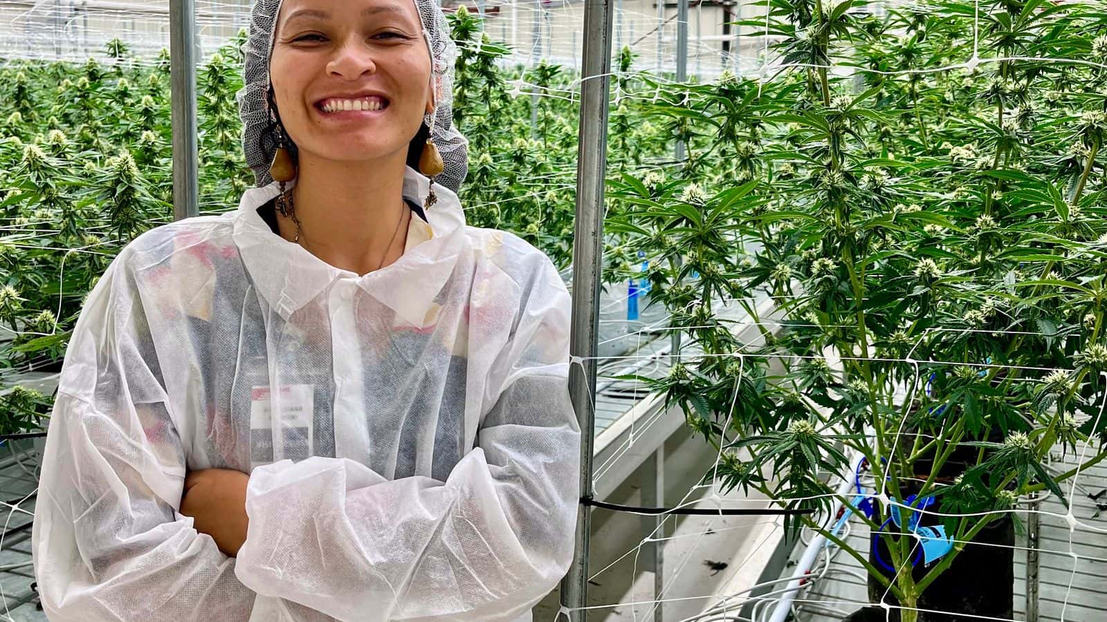 Thi Le, the strategic adviser of the Green Road Initiative, stands by a marijuana plant, Aug. 13, 2024. The Green Road Initiative hosted the alterNATIVE Medicine Symposium in New Town, North Dakota, on July 29 and 30, 2025. (Photo courtesy of Thi Le)