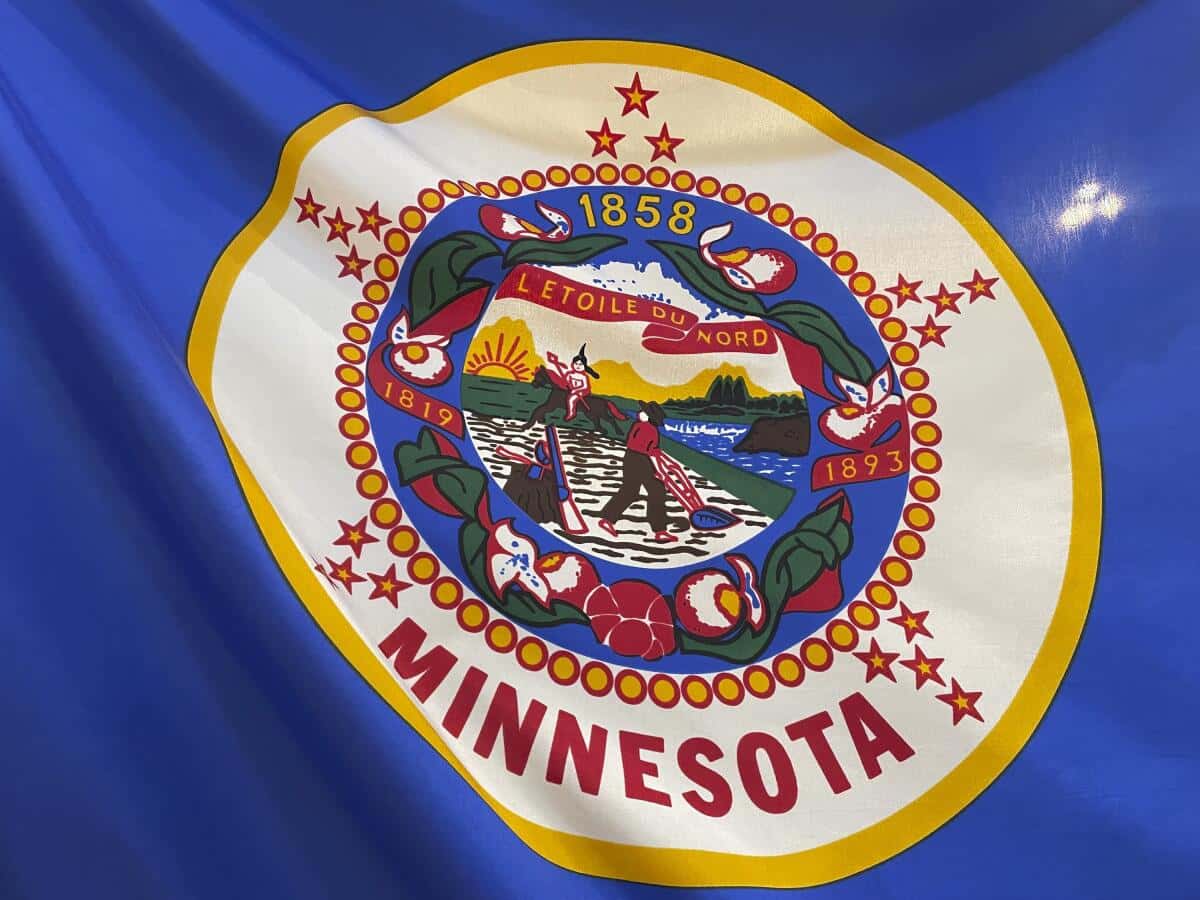 MN state flag