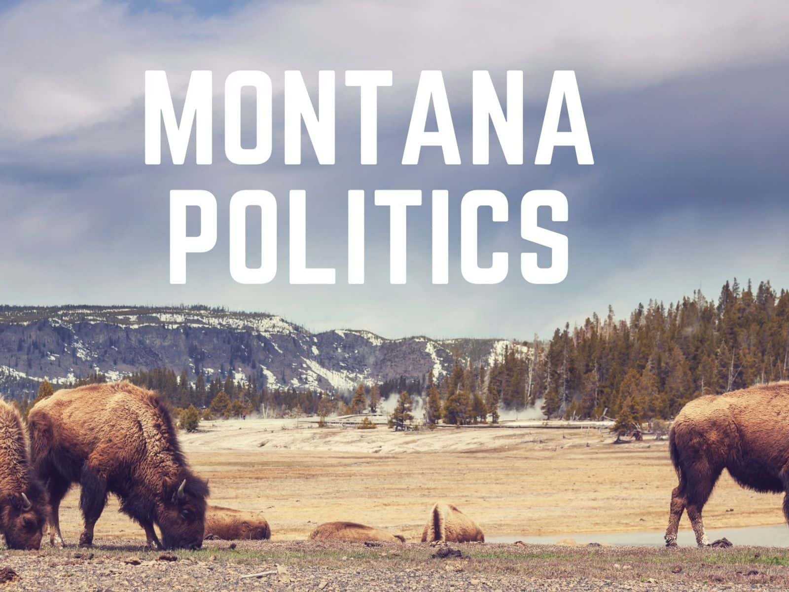 The Montana Democratic Party has become the first state party in the U.S. to establish a formal role for Native Americans, based on their proportion of the population.