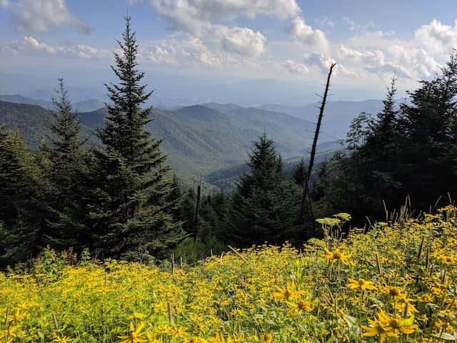 The Great Smoky Mountains National Park can be seen from Clingmans Dome Trail. Support is growing to return the name of the peak to Kuwohi.

Photo by Ricky Young, Chattanooga Times Free Press 