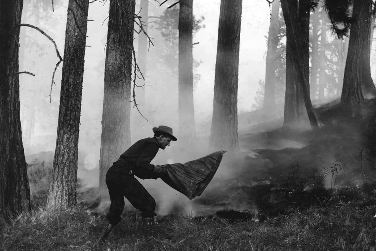Special Agent J.T. Jardine fights a Wallowa National Forest fire in 1908.
W.J. Lubken/ U.S. Forest Service