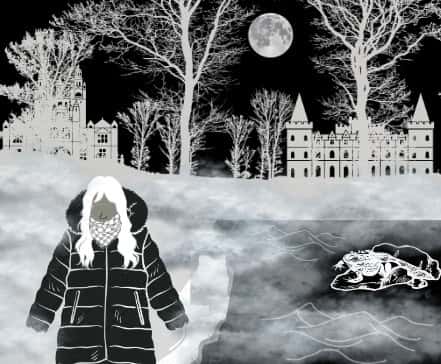 Graphics/ Castle Fox