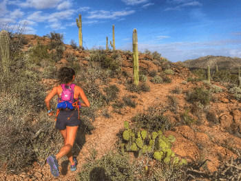 Show your support for AISES students by sponsoring Dr. Lydia Jennings on March 20, 2021.