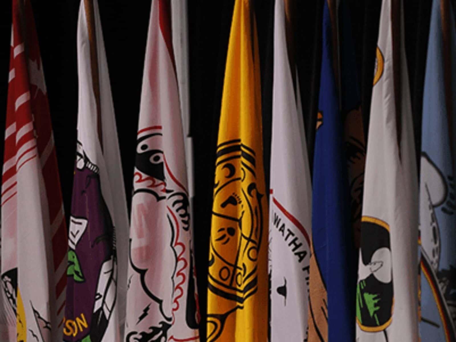 assembly-of-first-nations_flags