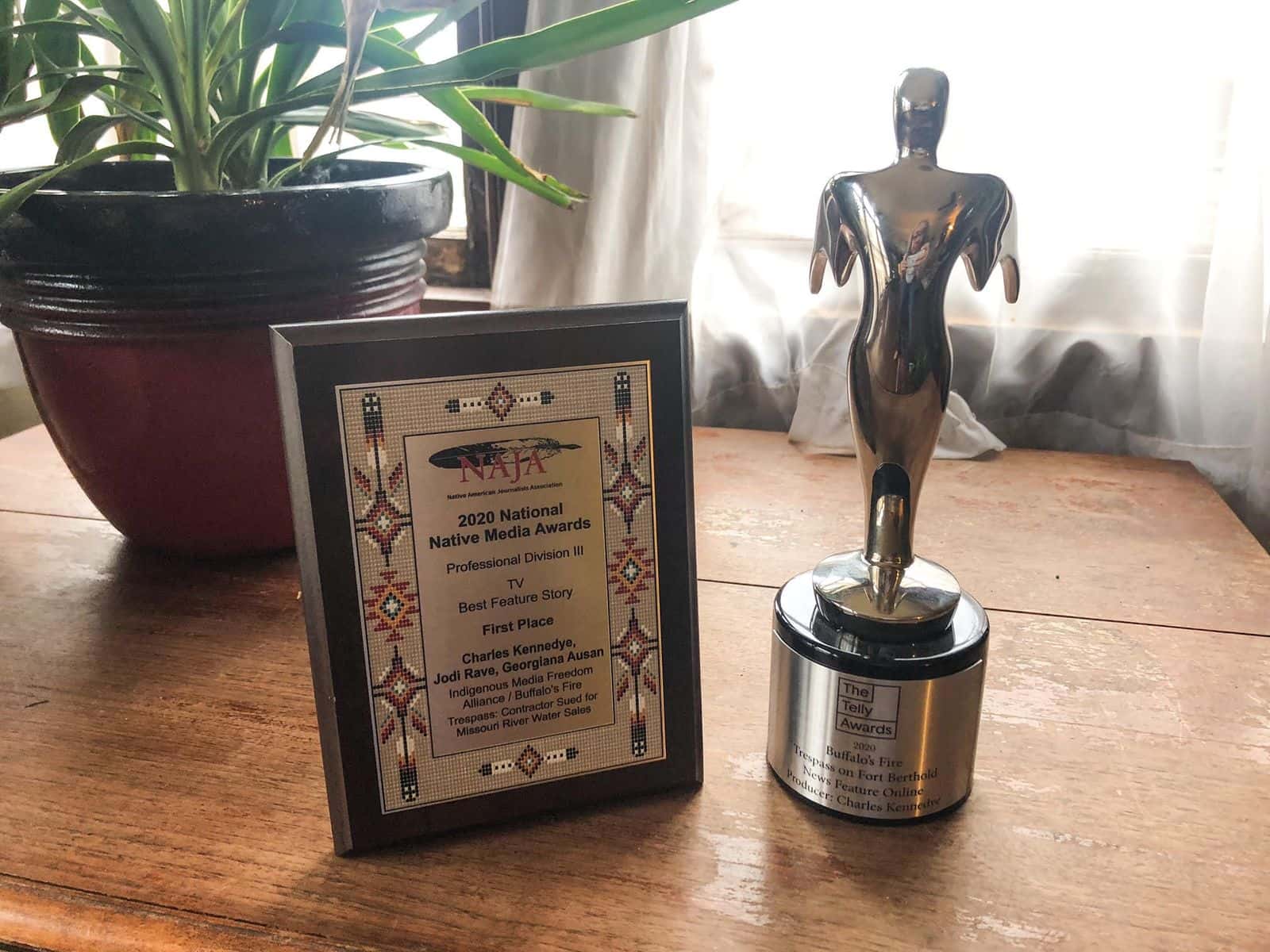The National Native Media Award and Telly Award received by Buffalo's Fire.