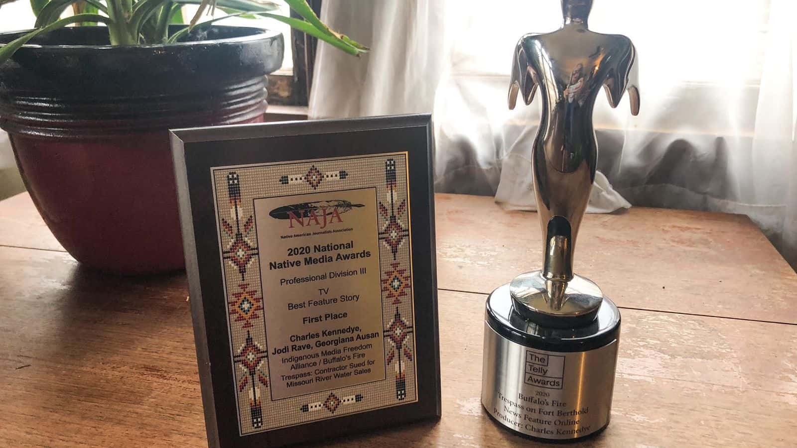 The National Native Media Award and Telly Award received by Buffalo's Fire.