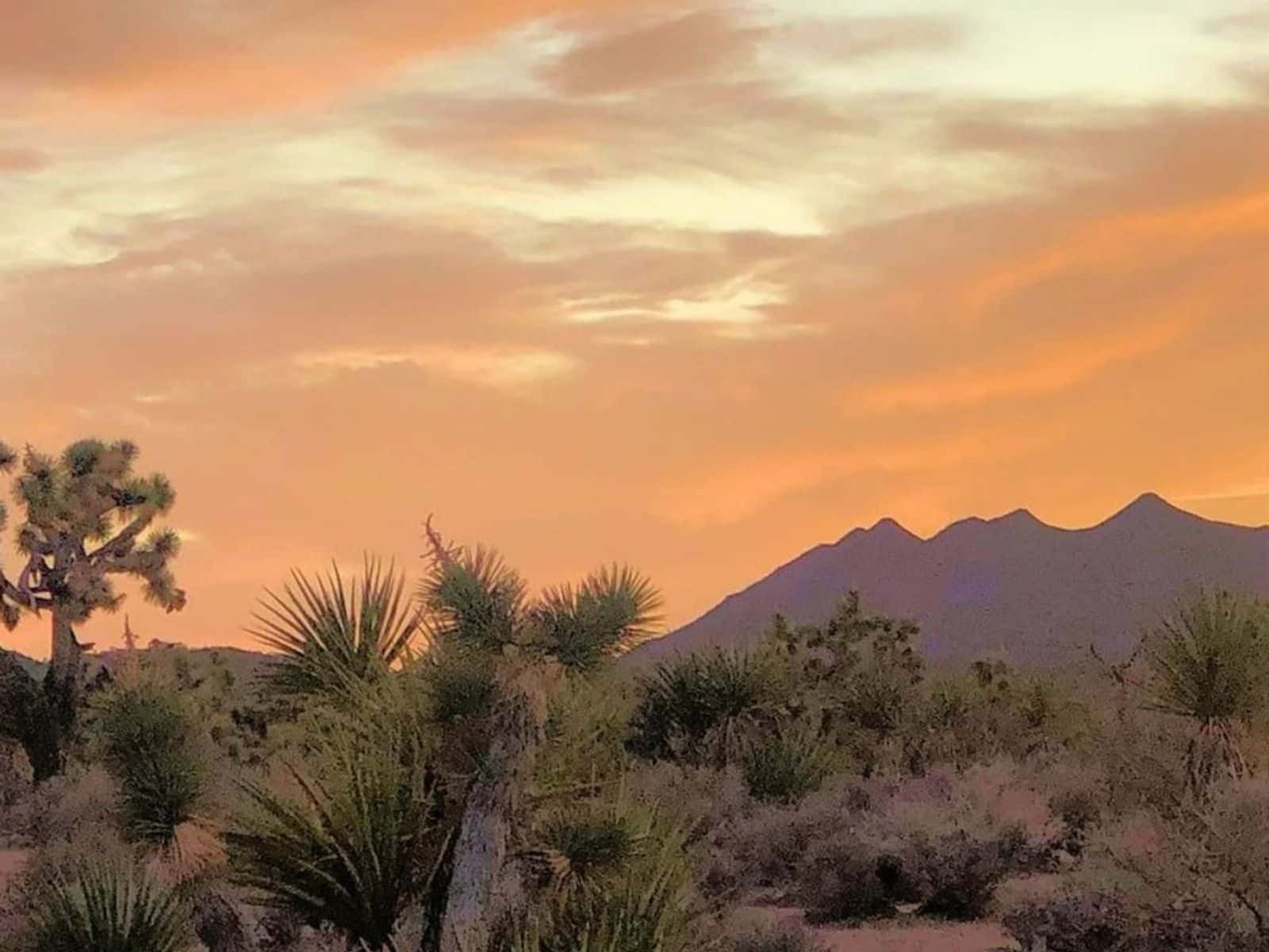 honor-avi-kwa-ame-_-facebook-page---cropped