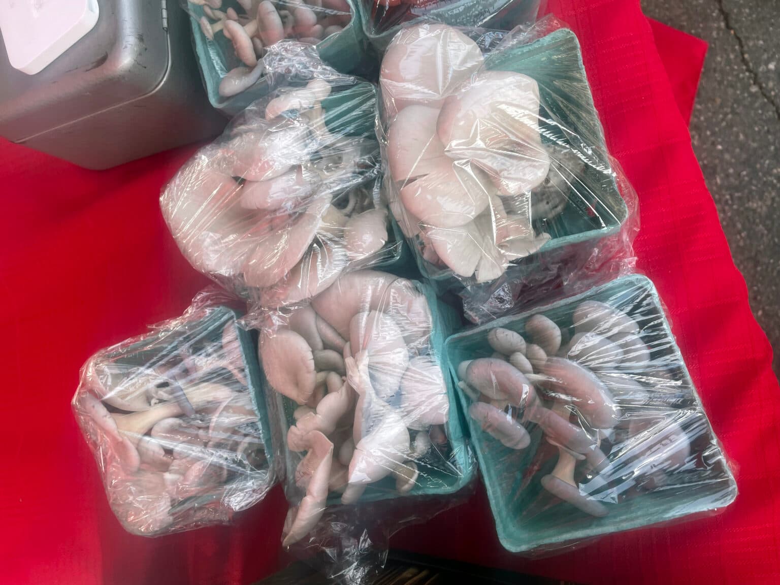 Along with garden fruits and veggies, UTTC students also sold the mushrooms they produce on campus, Aug. 9, 2025. (Photo credit: Scott Grandi-Hill)