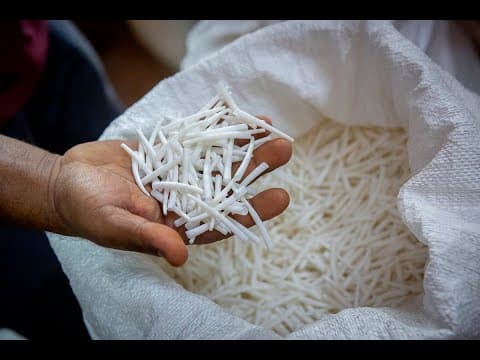 Adapting to change: The shift from traditional fishing to dentalium harvesting in South India