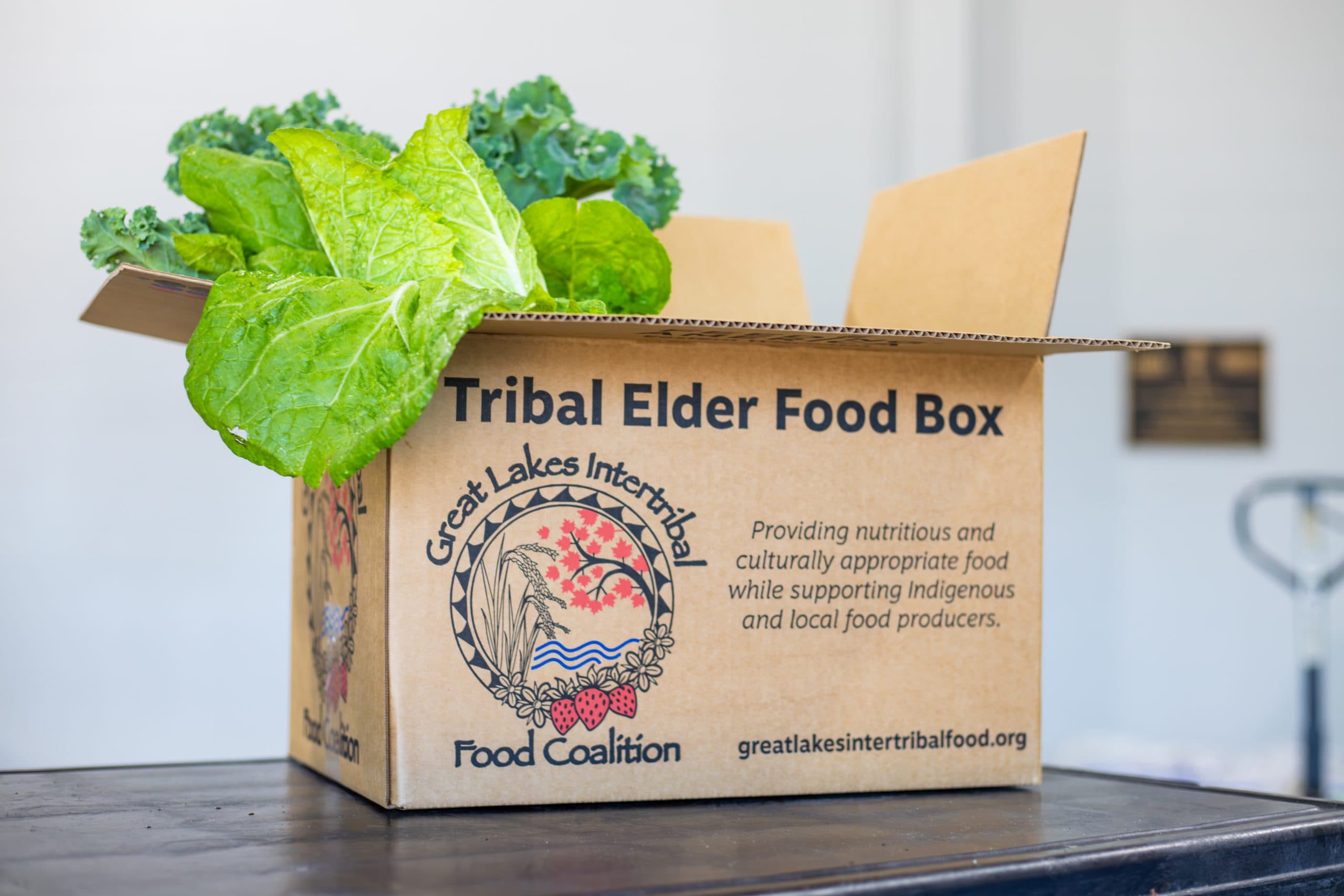 The Tribal Elder Food Box Program helps feed Native elders across Wisconsin. The initiative is a collaboration between Feeding America Eastern Wisconsin and the Great Lakes Intertribal Food Coalition.