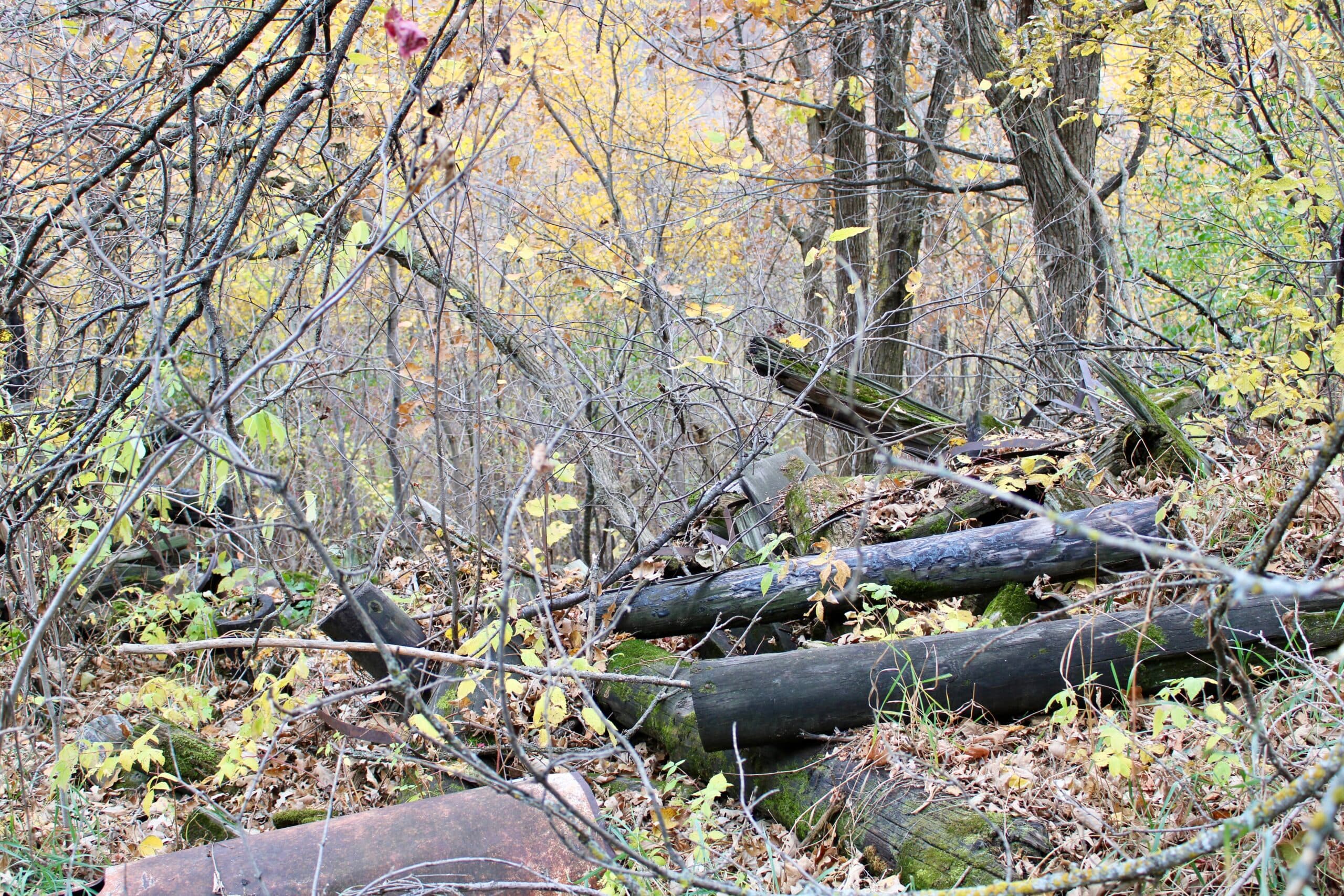 Poles covered in toxic wood preservatives discarded by the St. Regis Paper Co. around 50 years ago at the Fox Creek Valley near the Leech Lake Division of Resource Management facility, Cass Lake, Minnesota.