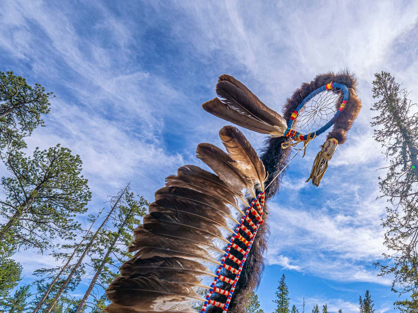An eagle staff stands among the trees in the Black Elk Wilderness.