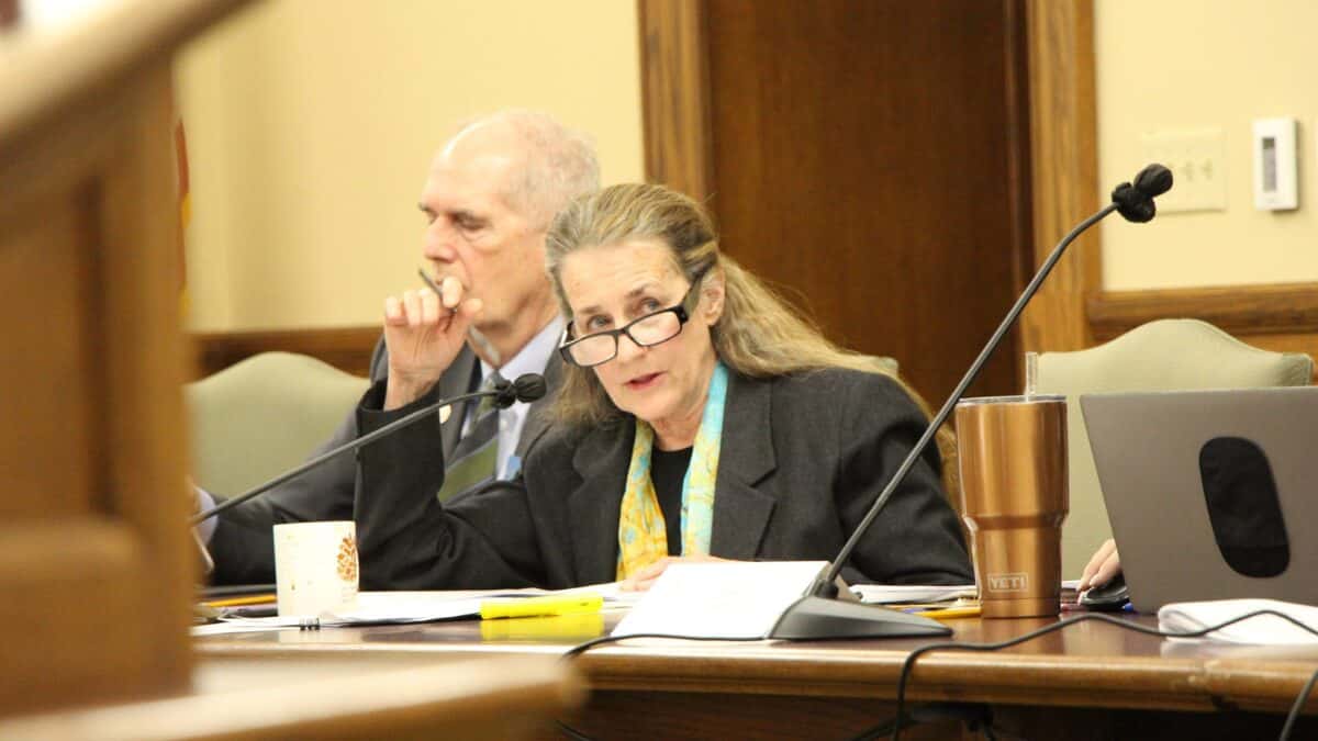 Rep. Mary Caferro, D-Helena, a member of the interim health and human services budget committee, asks a question at a public meeting at the State Capitol in Helena on March 13, 2024. Credit: Mara Silvers / MTFP