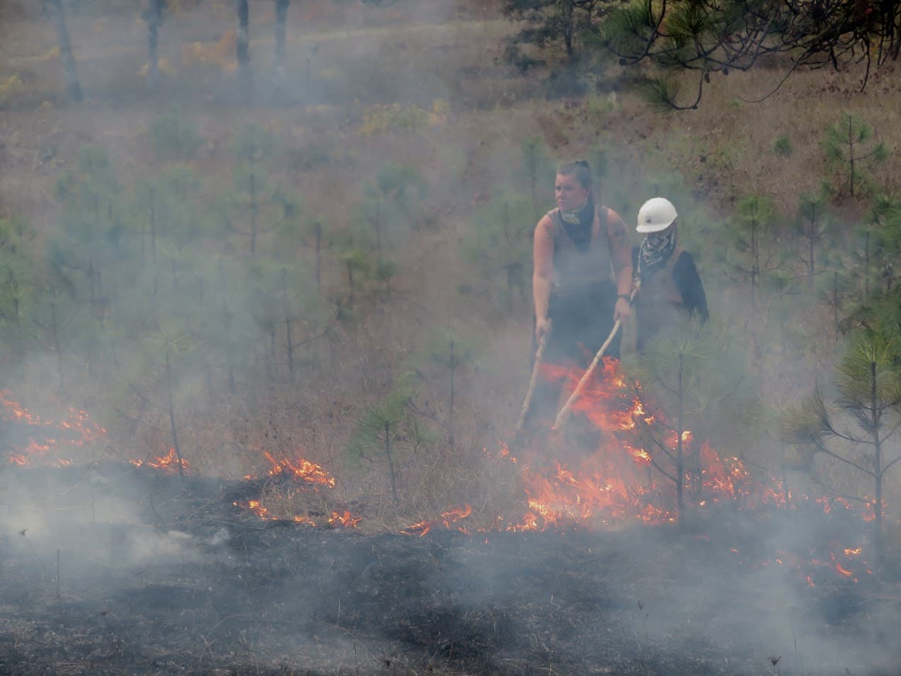 RachelCushman02_BBull