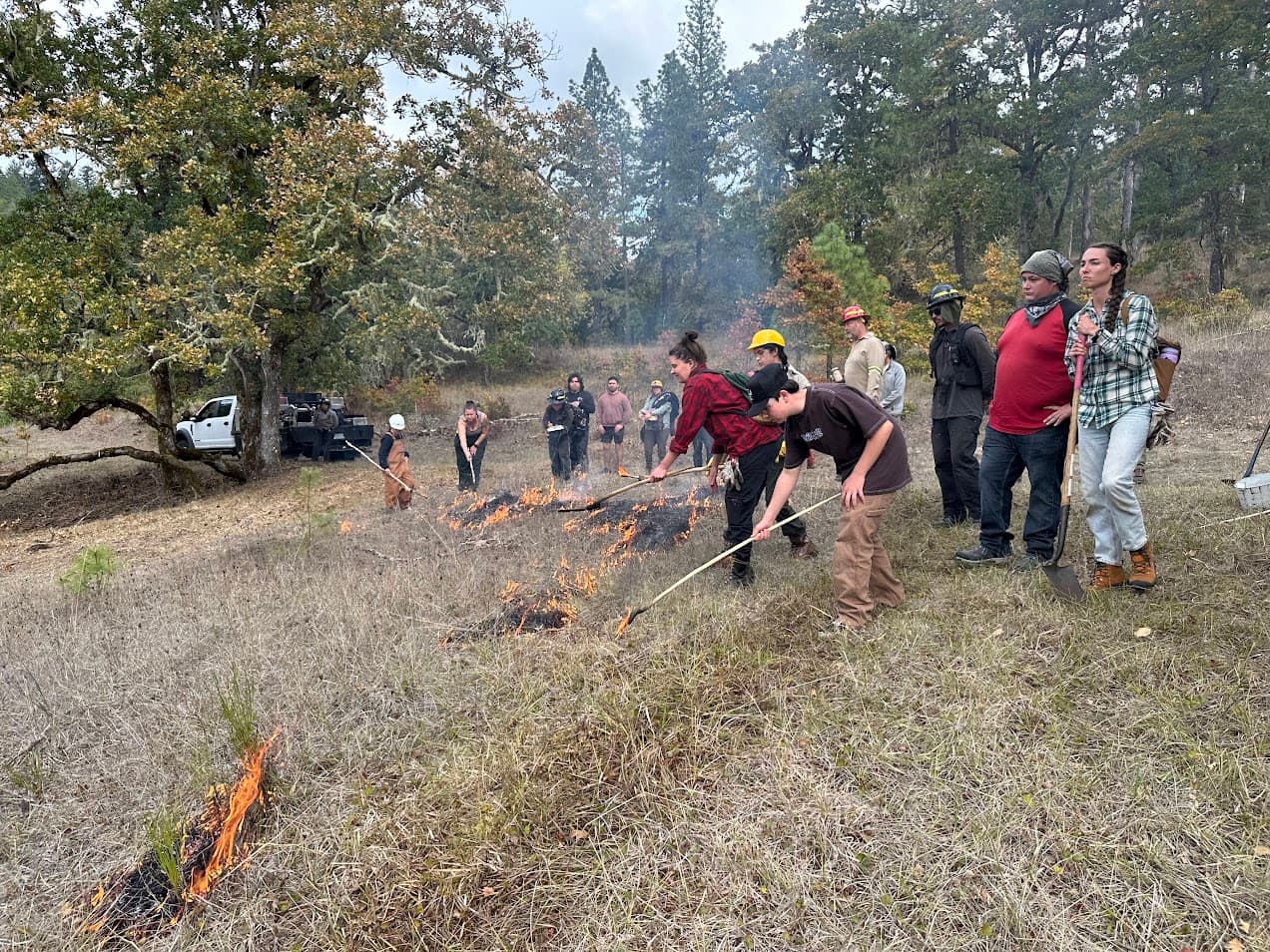 StartingFlames_BBull