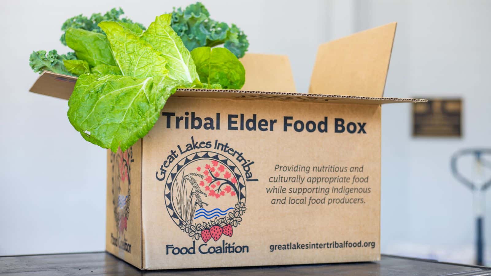 The Tribal Elder Food Box Program helps feed Native elders across Wisconsin. The initiative is a collaboration between Feeding America Eastern Wisconsin and the Great Lakes Intertribal Food Coalition.