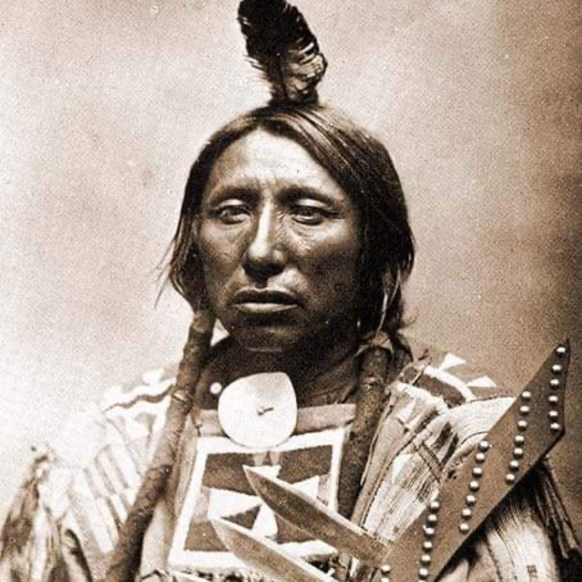 Spotted Eagle