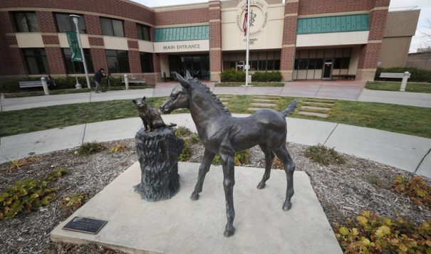 In this Nov. 6, 2017 photo, a sculpture stands outside the front door of the veterinary school at Colorado State University in Fort Collins, Colo. The mother of two Native American teenagers who campus police pulled from a Colorado State University campus tour after a parent reported feeling nervous about them said she believes her sons were victims of racial profiling and she feared for their safety after learning about the encounter. (AP Photo/David Zalubowski, File)