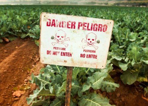 Poison pest control chemicals sprayed on a  field in the Salinas Valley, California USA