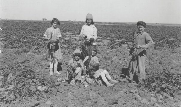 Children work in a Kansas beet field, c. 1922.
Kansas State Historical Society