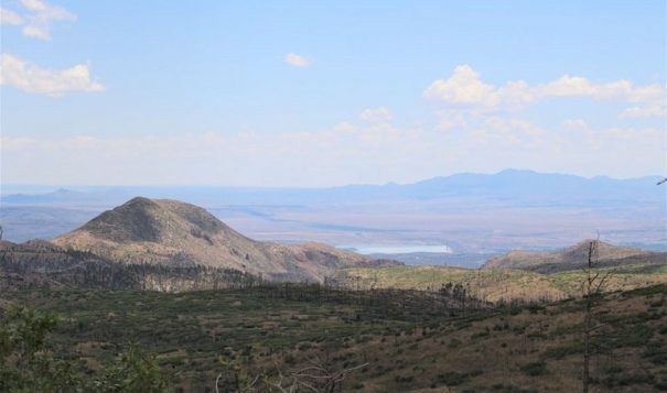 A former conifer forest in New Mexico's Jemez Mountains, with the Rio Grande's Cochiti Resevoir in the background.
Laura Paskus