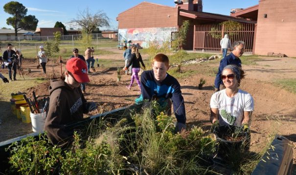 Students, nonprofit and grassroots organizations construct green infrastructure that will direct stormwater to native trees and grasses they are planting to improve the landscape at Star Academic High School.
Norma Jean Gargasz for High Country News