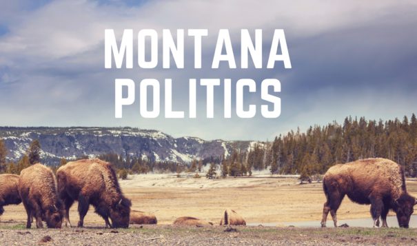 The Montana Democratic Party has become the first state party in the U.S. to establish a formal role for Native Americans, based on their proportion of the population.