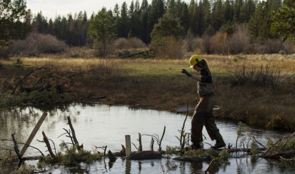 With millions to spend, Klamath restoration crews look for projects