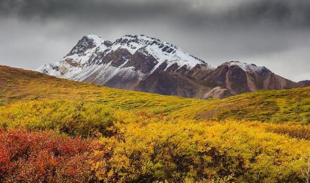 Alaskan wilderness (stock photo) 