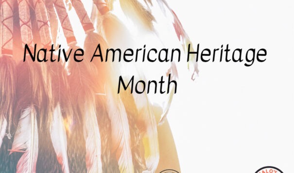 Celebrate Native American Heritage Month by Making Your Voice Heard