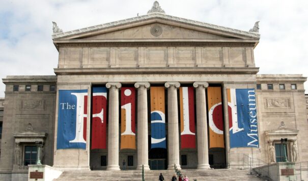 The Field Museum of Natural History Credit:Jeff Haynes/Getty Images