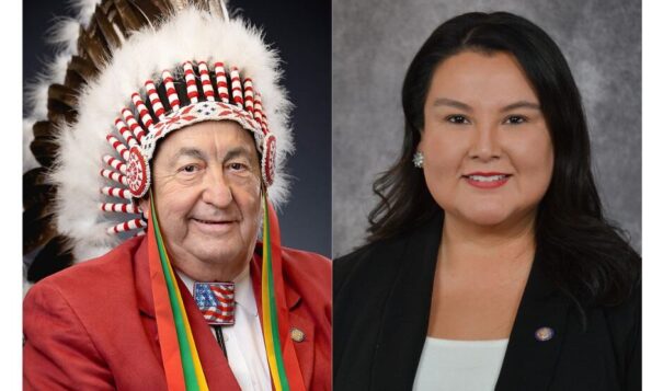Democrats endorse 3 tribal members in District 9