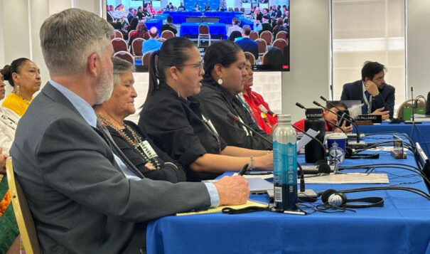 Indigenous leaders confront U.S. Government over Its uranium exploitation policies at historic  IACHR hearing in D.C.