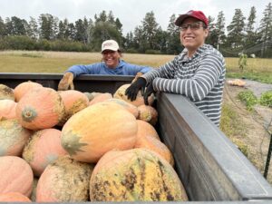 Kate Gates and Brett Alberts of the Agricultural Research Service harvesting Arikara squash. Photo Credit/ Claire Friedrichsen